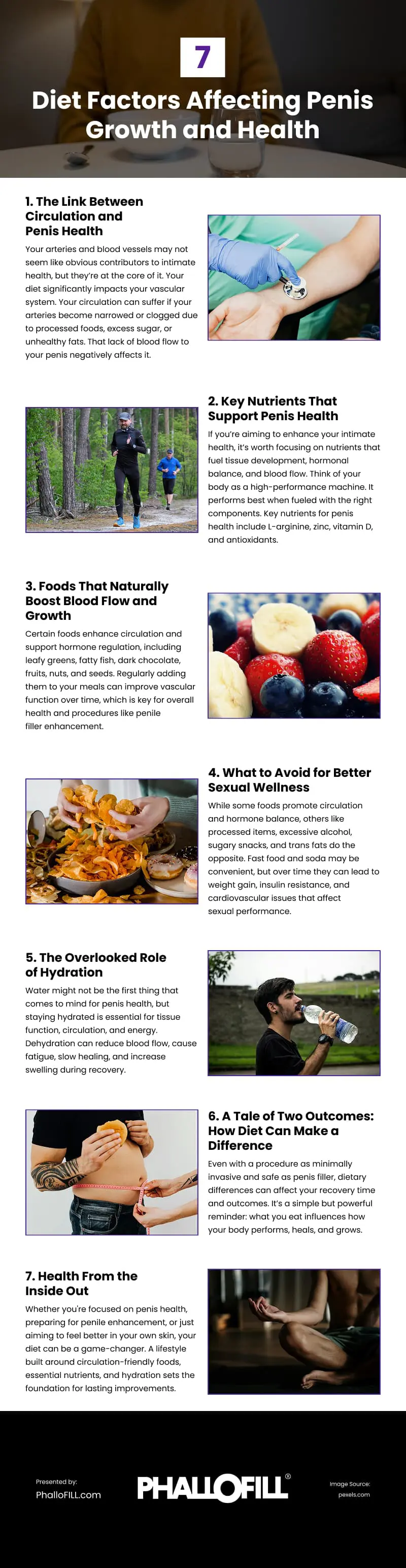 7 Diet Factors Affecting Penis Growth and Health Infographic
